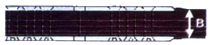 pas